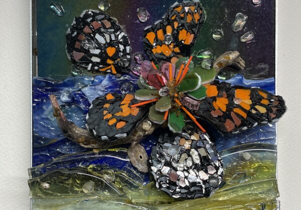 Tanisha N Pacheco Rodriguez, Caribbean Waters: Fragility