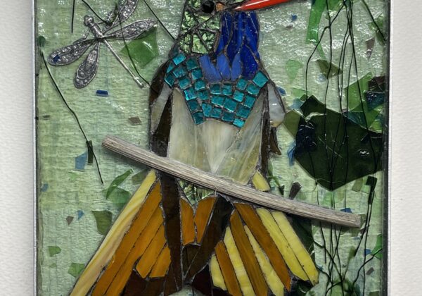 Elaine Sheridan, Buff-Belied Hummingbird