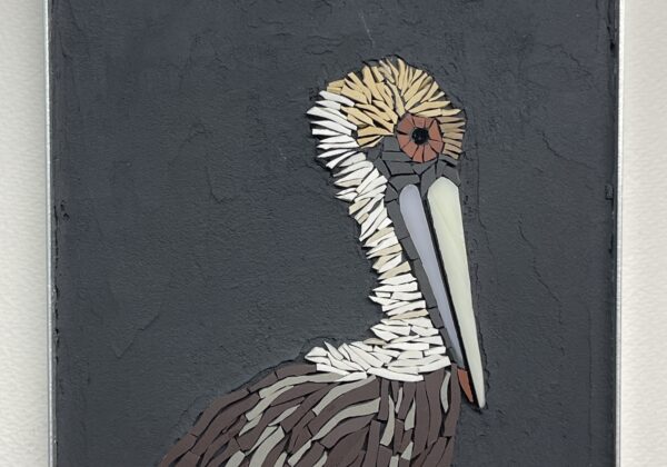 Barbara Flye, The Brown Pelican