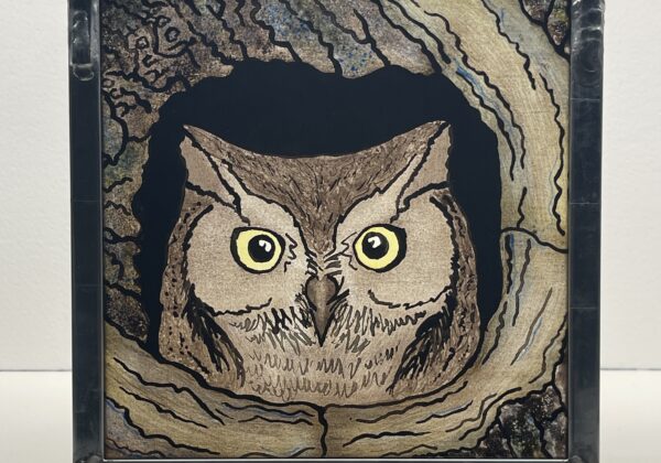 Lindsay Speth, Hoot's There?